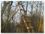 20150320_170454